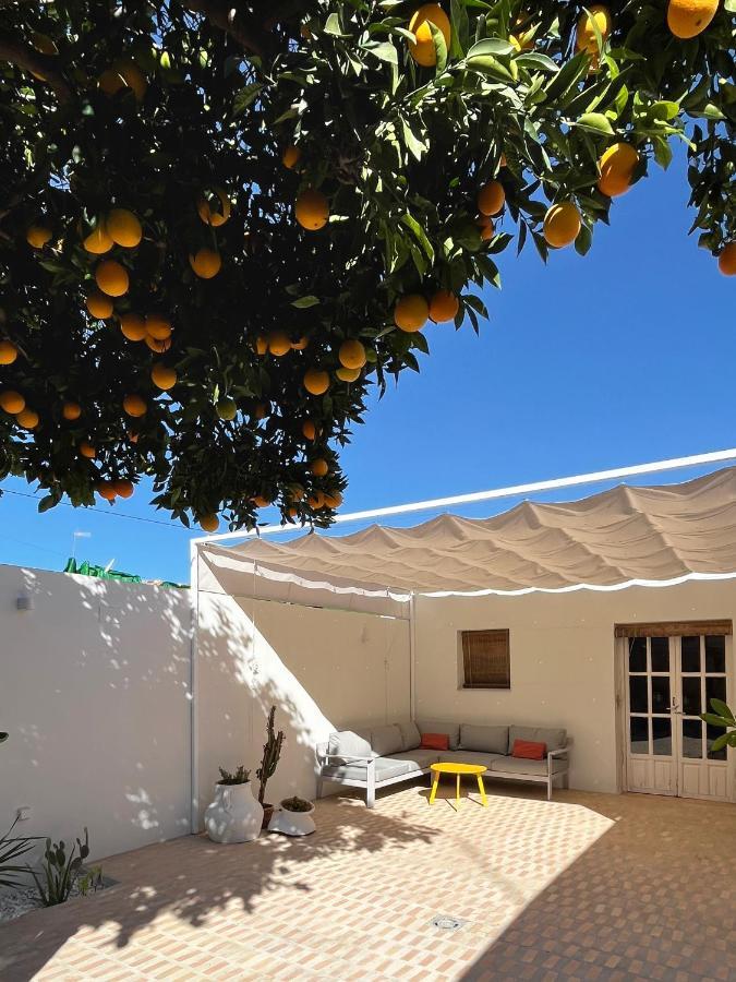 Design & Art, Patio With Orange Tree, Near Seville Carrion de Los Cespedes Kültér fotó