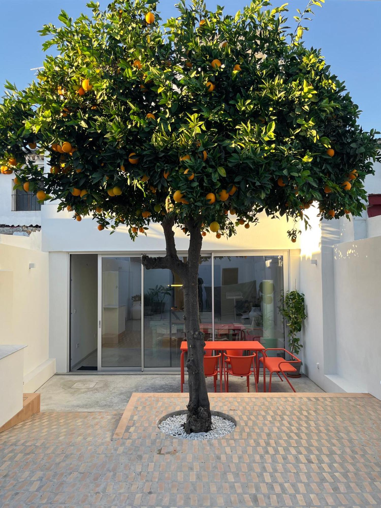 Design & Art, Patio With Orange Tree, Near Seville Carrion de Los Cespedes Kültér fotó